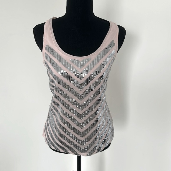 Express Pink Top - Picture 1 of 8